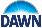 Dawn